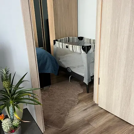 Apartmán Cozy In Old & Free Underground Parking