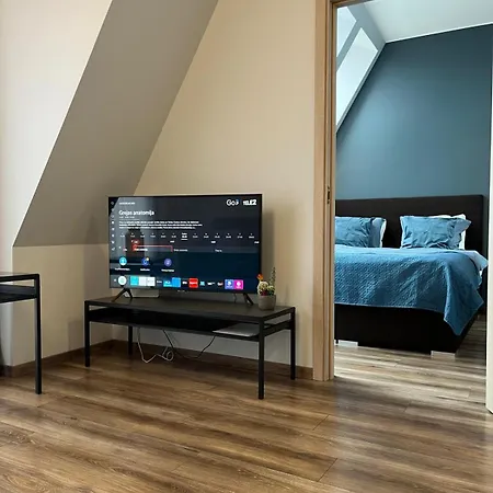 Cozy In Old & Free Underground Parking Apartment