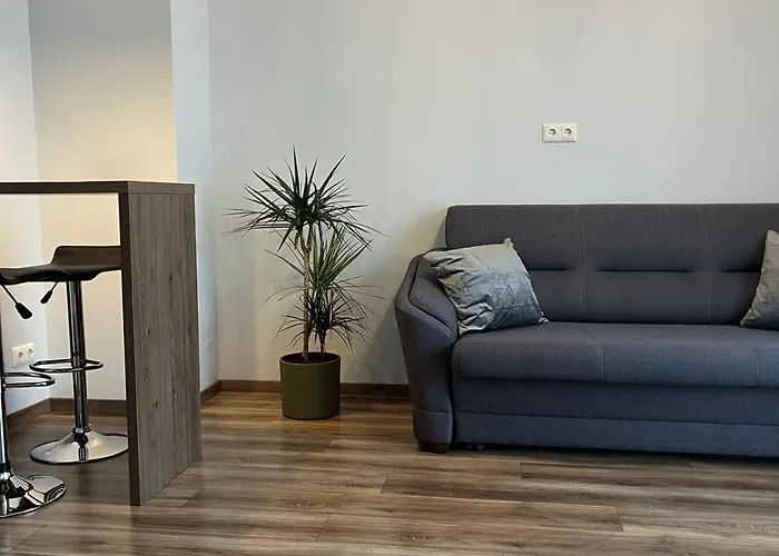 Apartment Cozy In Old & Free Underground Parking Riga