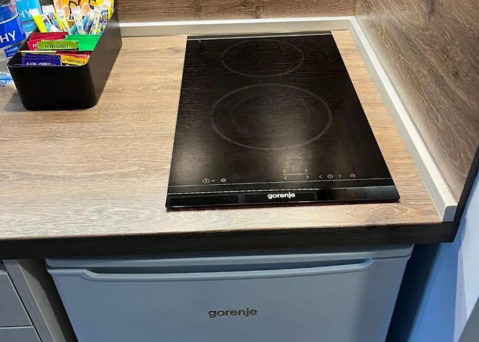 Cozy In Old & Free Underground Parking Apartment