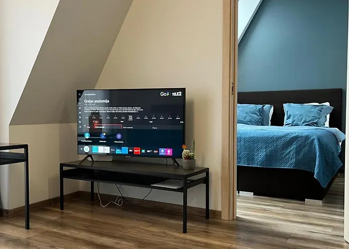 Cozy In Old & Free Underground Parking Apartment