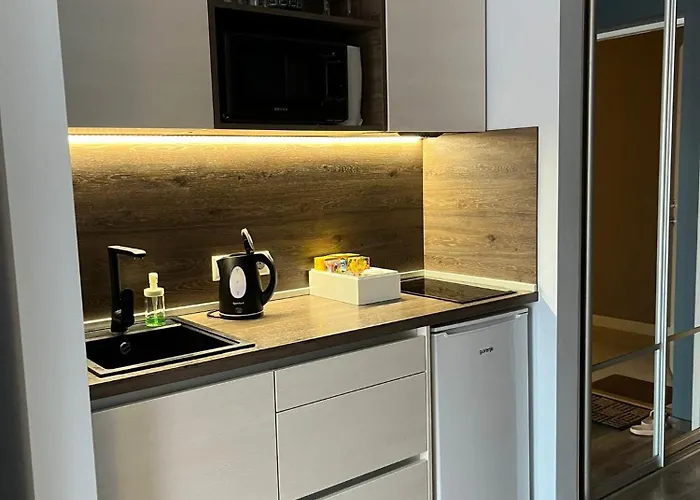 Apartment Cozy In Old & Free Underground Parking